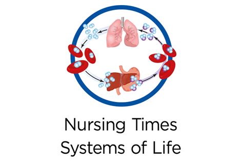 Every Breath You Take The Process Of Breathing Explained Nursing Times
