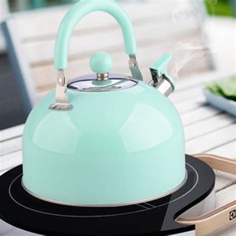 2 5L Whistling Kettle For Gas Stove Chaleira Bouilloire Stainless Steel