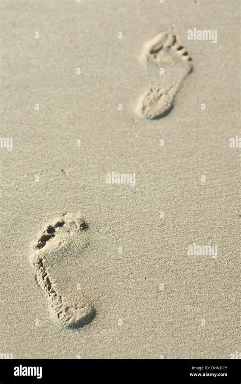 Footprints At The Wet Sand Stock Photo Alamy