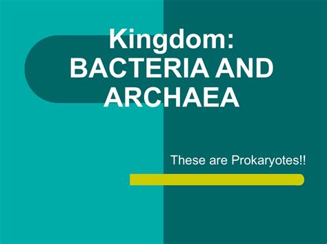 Kingdom Bacteria And Archaea