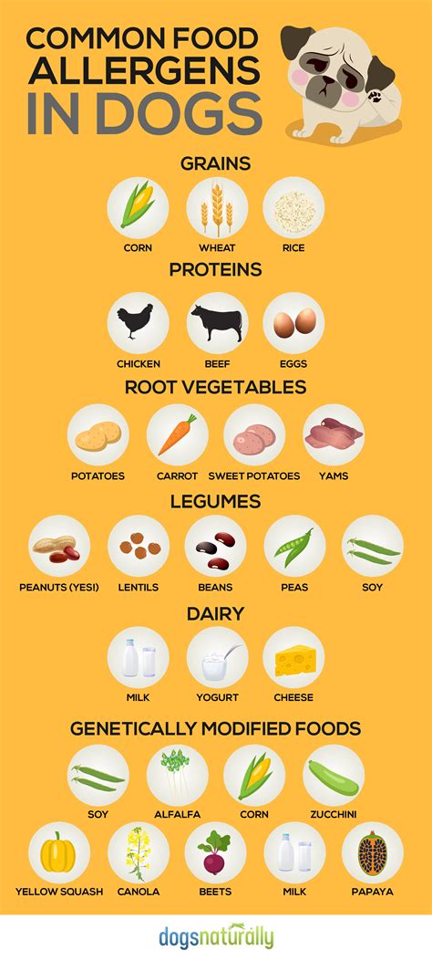 What causes skin allergies in dogs? 5 Signs Your Dog Has Food Allergies - Dogs Naturally Magazine