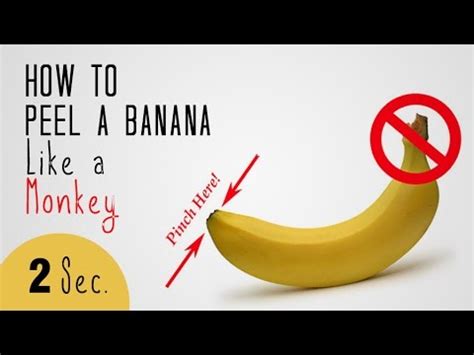 Maybe you would like to learn more about one of these? How To Peel A Banana Like A Monkey | Joyful Banana Peeling ...