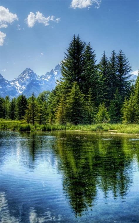 Download Wallpaper 800x1280 Lake Mountain Tree Water Landscape