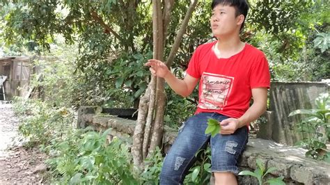 Hoang Quan Vlogs Gioi Thieu Voi Cac Ban Trai Nghiem Ve La Cay Nhan Nhe Youtube