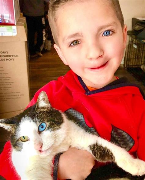 Boy Adopts Cat With The Same Exact Rare Eye Condition And Cleft Lip