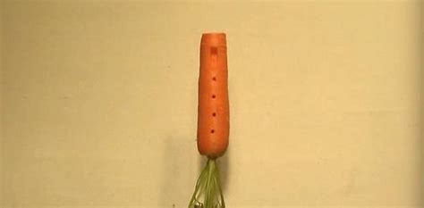 Making An Edible Recorder From A Tasty Carrot Rtm Rightthisminute