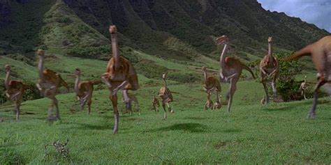 Jurassic Park All 6 Dinosaurs That Appear In The First Movie Explained Paleontology World