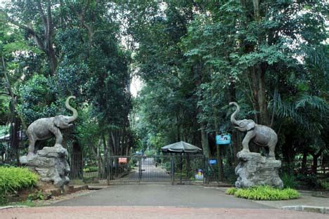 Pernah datang ke kebun binatang surabaya (kbs) atau yang dikenal dengan nama bonbin surabaya? Kebun Binatang Ragunan | Blog Pariwisata