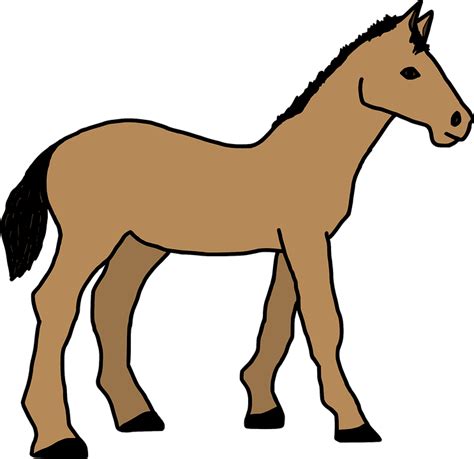 Hewan Kartun Kuda · Gambar Vektor Gratis Di Pixabay