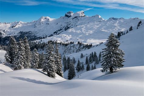 Winter Activities In Switzerland