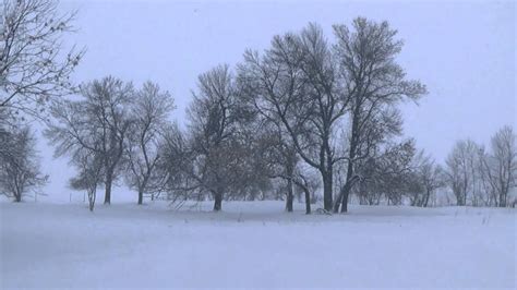 Beautiful Snowy Field Stock Footage Free To Use Just