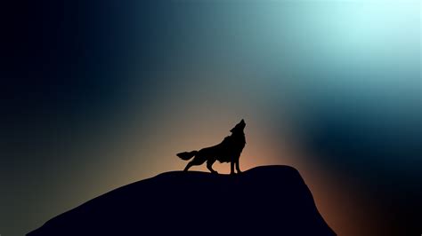 X Wolf Howling K Wallpaper X Resolution Hd K Wallpapers Images Backgrounds
