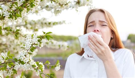 Alergia o jakich jej przyczynach i objawach możemy mówić