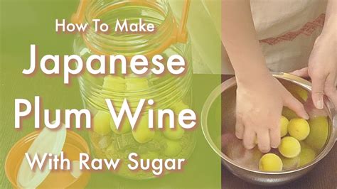 how to make plum wine with raw sugar ☆ homemade japanese umeshu youtube