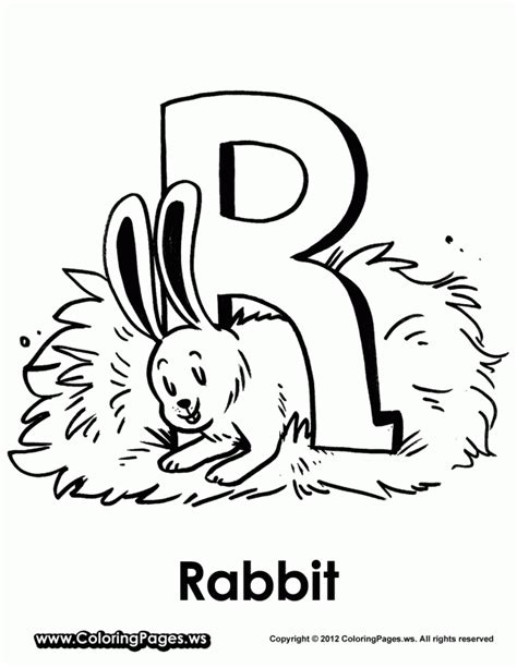 736 x 1008 file type: Realistic Rabbit Coloring Pages - Coloring Home