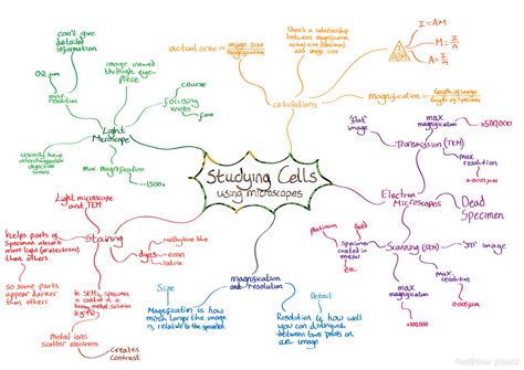 Animal And Plant Cells Mind Map