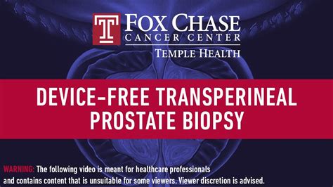 How To Perform Device Free Free Handed Transperineal Prostate Biopsy