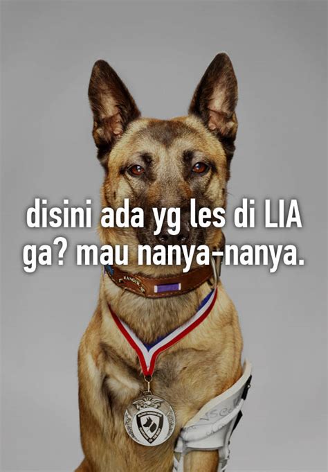 Disini Ada Yg Les Di Lia Ga Mau Nanya Nanya