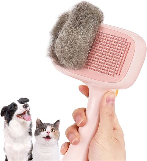 Grooming Tips For Shedding Dogs at Catherine Boatright blog