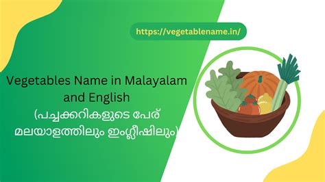 50 Vegetables Name In Malayalam And English പച്ചക്കറികളുടെ പേര്