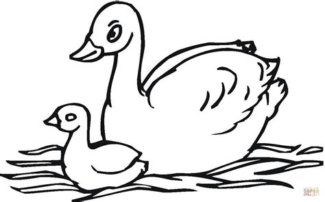 Swan Coloring Pages To Download And Print For Free