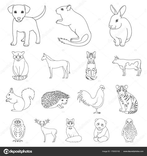 Dibujos Animales Domesticos Y Salvajes Para Colorear - Dibujos Para
