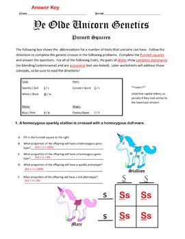 Identify the phenotypes of each parent step 3: Punnett Squares: Punnett Square Mendelian Genetics ...