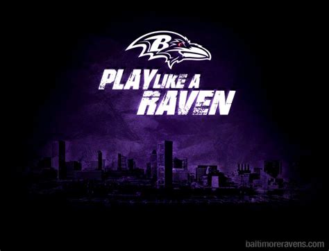 Baltimore Ravens Logo Wallpapers Top Free Baltimore Ravens Logo