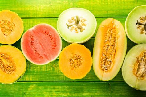 How To Grow Melons Diy Garden