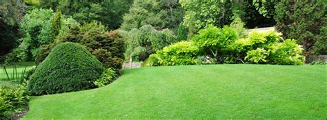 Pay your green acres lawncare & landscaping bill online with doxo, pay with a credit card, debit card, or direct from your bank account. Bee Green Lawn Care