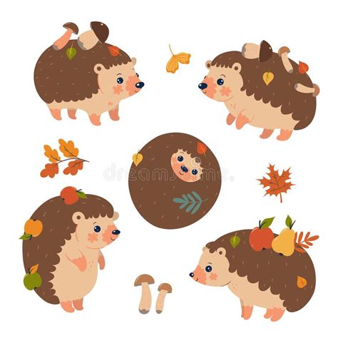 Cute Hedgehogs Set Stock Illustrations 375 Cute Hedgehogs Set Stock