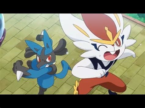 La Rivalidad Entre Lucario Y Cinderace Koharu Y Su Eevee Especial YouTube