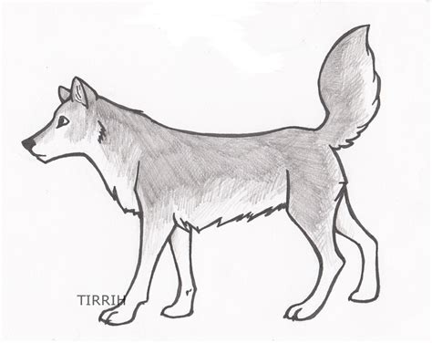 Best Of Easy Drawings Of Gray Wolves Photos