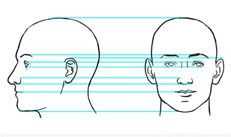 Capture Character Drawing Realistic Facial Features Craftsy