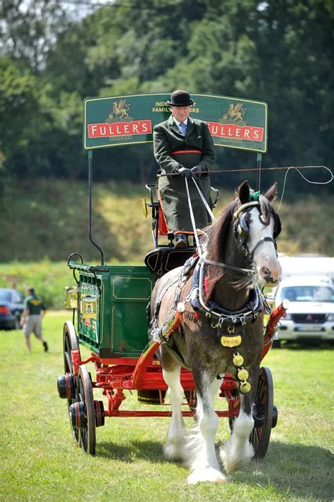 Chertsey Agricultural Show 2014 Surrey Live