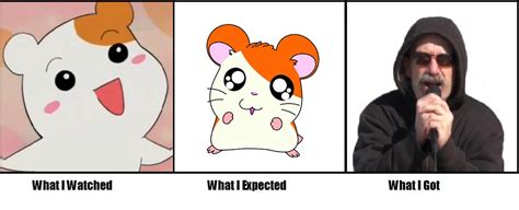 Hamtaro Deceived Me What I Watched What I Expected What I Got