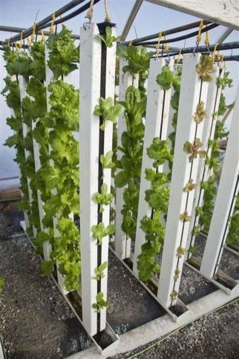 22 Hydroponics Vertical Garden Ideas Worth To Check Sharonsable