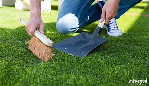 Artificial Grass Maintenance And Cleaning Integral Grass