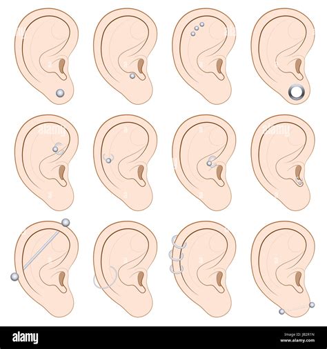 Ear Piercings Chart Twelve Different Illustrated Examples On White