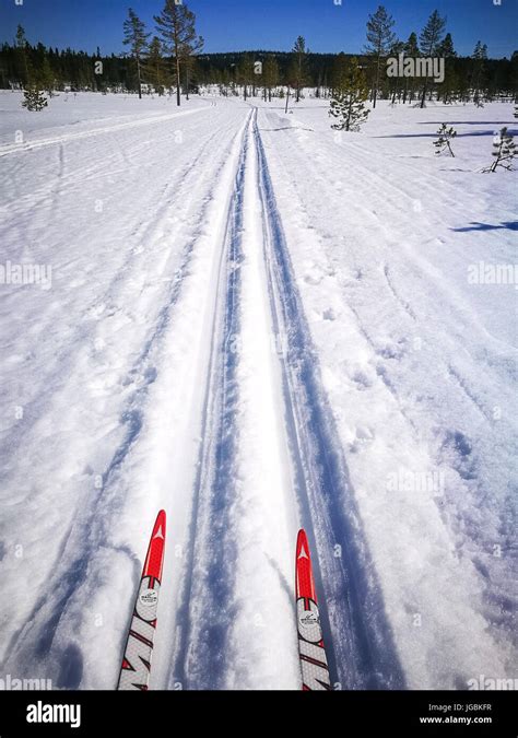 Tip Of Two Cross Country Skis In Groomed Tracks View From Athletes