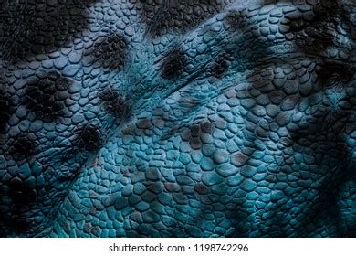 Dinosaur Skin Texture Maryanncodi