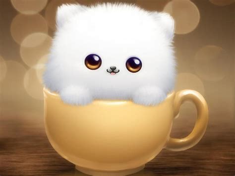 Wallpaper Kucing Imut Lucu Gambar Kartun Lucu Dan Wallpaper Keren