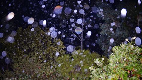 Importance Of Seeing Orbs Yes Psychic Readings