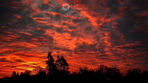 Sky On Fire Captured Yesterday When I Was Witness To A Spe Flickr