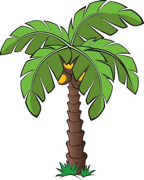 👉dessin Palmier Facile Vous Souhaitez Apprendre à Dessiner Un Palmier