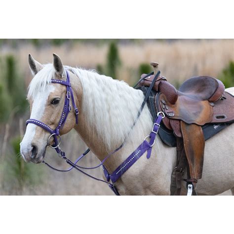 Horse Western Bridle For Sale | Two Horse Tack