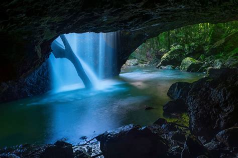 Springbrook National Park Qld This Magical Spot Is Home To An Amazing