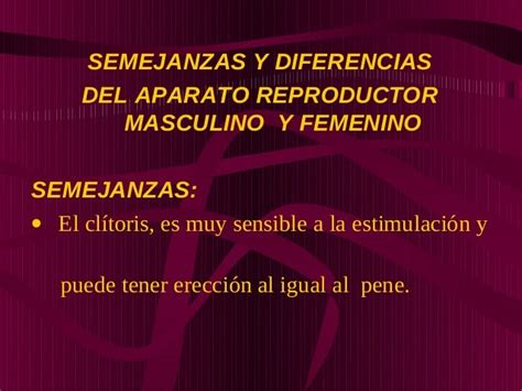 Cartel De Diferencias Del Aparato Reproductor Femenino Y El Aparatod Ad5