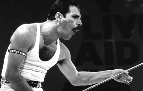 Hd Wallpaper Music Freddie Mercury Freddie Mercury Queen Freddie Mercury Mercury