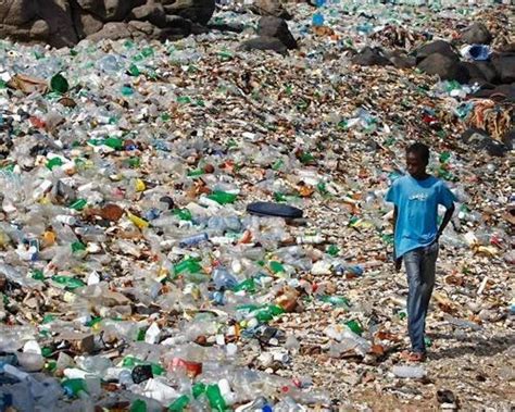 Newly Discovered Plastic Eating Bacteria To Help Clean Up Planet Earth